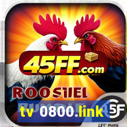 tv 0800.link